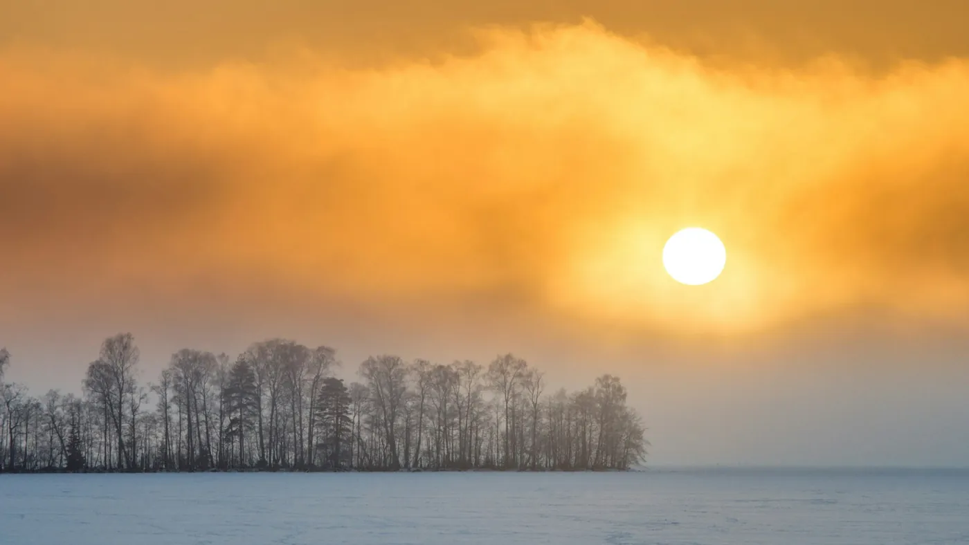Un lago ghiacciato sotto un sole invernale basso dietro le betulle